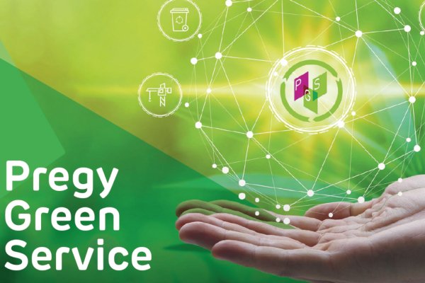Preegy Green Service